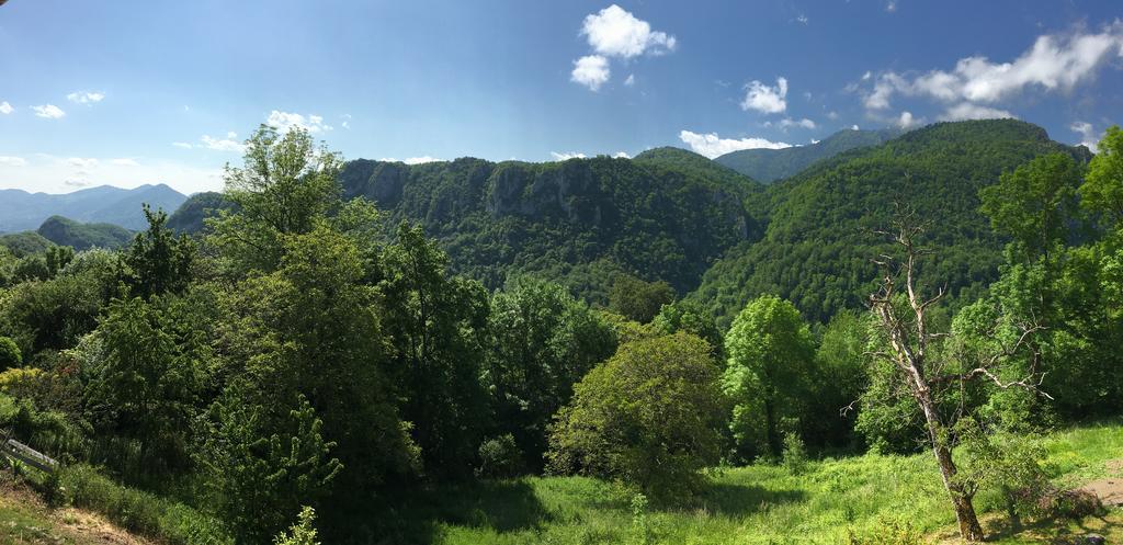 Holiday home De Serrelongue Montsegur